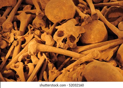 Old Historic Skulls And Bones At A Mass Grave