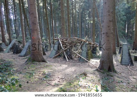 Old historical hump line in the forest . Cusp-shaped or tooth-shaped concrete anti-tank barriers . Defense fence against enemy vehicles . Location : Forest in the north of German city Aachen . WWII
