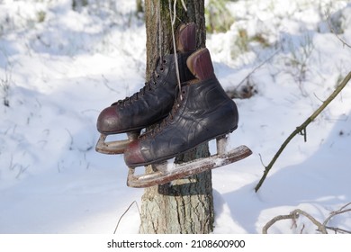 Old Hockey Skates On Snow Background