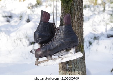 Old Hockey Skates On Snow Background