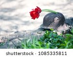 Old, holey, rusty German military helmet of the Second World War with to the tulips, protruding from a corroded hole, toning