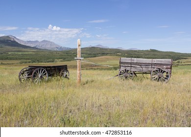 old horse drawn wagons on the prairie