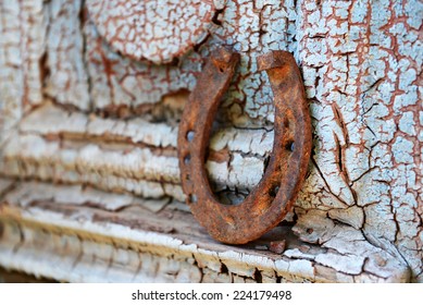 Old Horse Shoe On Vintage Wooden Door, Outdoors