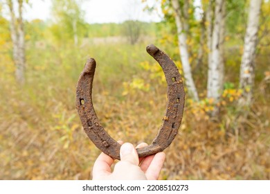 Old Horseshoes, Collected With A Metal Detector, Against A Background Of Green Grass.