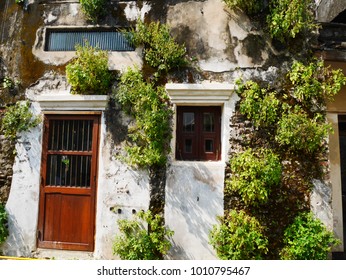 The old house