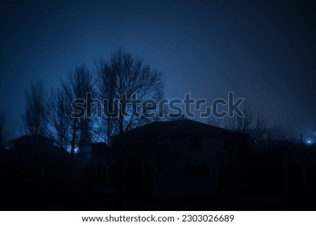 Old house with a Ghost in the forest at night or Abandoned Haunted Horror House in fog. Old mystic building in dead tree forest. Trees at night with moon. Surreal lights. Horror Halloween concept