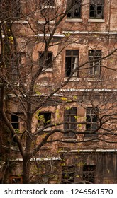 old house and tree