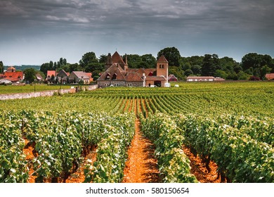 Old House And Vineyard With Storm Clouds, Burgundy, France