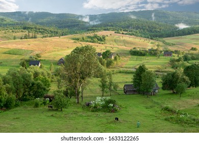 Old Houses Mountains Field Grass Cow