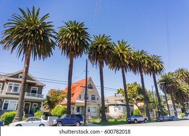 Old houses and palm trees on a street in downtown San Jose, California