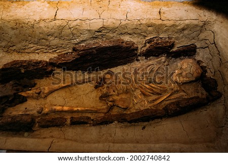 Old human skeleton in ancient tomb at archaeological excavation