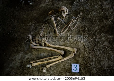 Old human skeleton in ancient tomb at archaeological excavation.