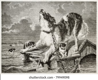 Old illustration of a dog and puppies trying to save from flooding. Created by Freeman and Quartley after Kiorboe, published on Magasin Pittoresque, Paris, 1850