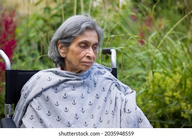 Old Indian woman sitting in a wheelchair in a UK garden, looking sad or depressed. Depicts elderly mental health, depression and illness in old age