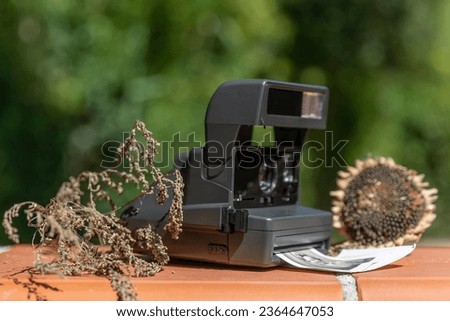 An old instant camera with photography coming out of the opening, with dry plants next to it