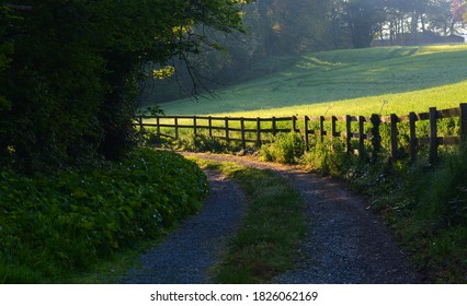 An Old Irish Country Road