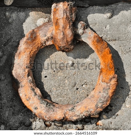 an old iron ring at a warf