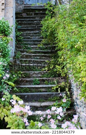 Similar – stairs with moss in the middle of a dark forest