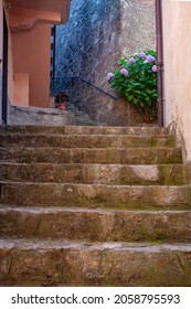 An Old Italian Street With A Bush Of Pink Flowers Against A Wall