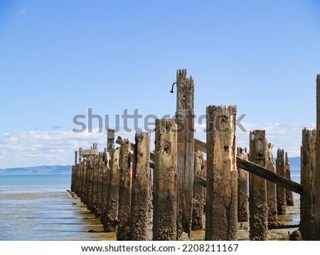Old jetty posts in shallow muddy harbour, in Firth of Thames New Zealand.low perspective.