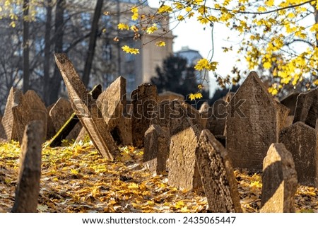 old jewish cemetery in eastern europe