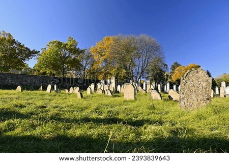 Old Jewish Cemetery. Dolní Kounice - Czech Republic. Beautiful autumn landscape with forest, sky, clouds and sun in the sky. Nature in autumn.