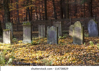 Old Jewish Cemetery In The Oak Forest