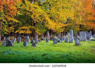 Old Jewish Cemetery In Vienna