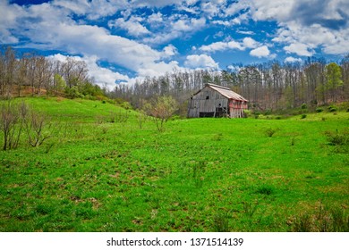 28 Laurel co Images, Stock Photos & Vectors | Shutterstock