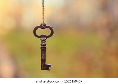 An old key hangs on a tree branch, against the background of a forest road. Blurred background, space for text