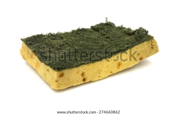 stinky sponge