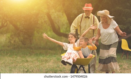The old lady and gentleman are pushing their grandchildren in a wheelbarrow.Funny boy and girl raised their hands up, their granparents are looking at them. The portrait of the ideal hapiness.