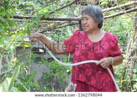 An old lady in a red dress is watering her plants in the garden. She’s very enjoying and smiling widely.
