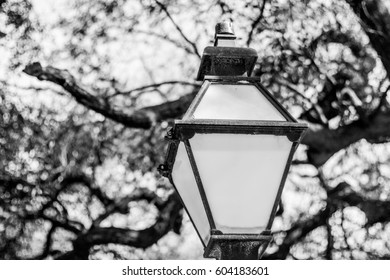 Old Lamp