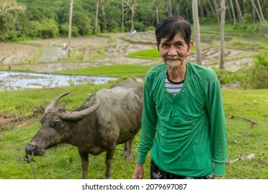 An old and lanky Filipino farmer with his carabao. A friendly local man smiling. Rural countryside scene at a rice paddy. In Bohol, Philippines