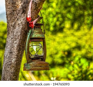 Old lantern on tree.