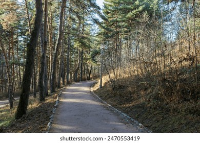 An old lantern standing on a path. A path going uphill through an autumn forest with slopes full of fallen leaves,