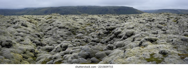 Old Lava Field  With Lichen And Moss In Iceland.