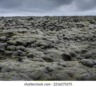 Old Lava Field  With Lichen And Moss In Iceland.