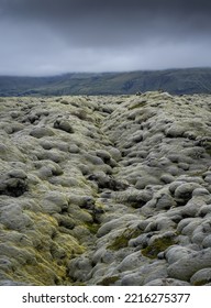 Old Lava Field  With Lichen And Moss In Iceland.