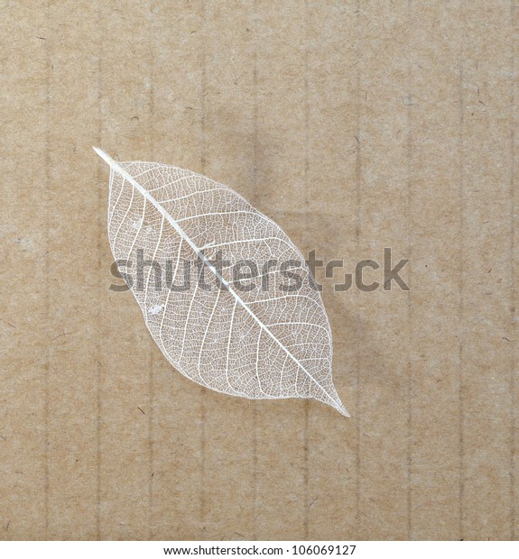 Old leaves on recycle\
paper background