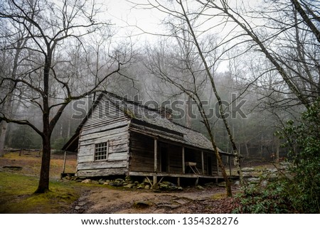Old log cabin in the woods.