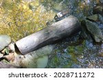 An old log from a fallen tree blocking the rushing water of a local creek.