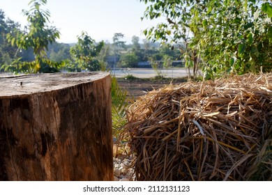 Old log and rice straw were bound together as seats in the garden.
