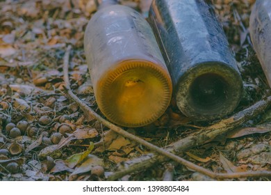 Old Long Time Lost Wine Bottles On Forest Flor