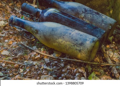 Old Long Time Lost Wine Bottles On Forest Flor