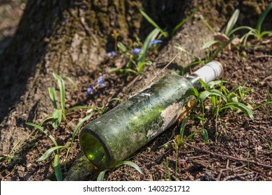 Old Long Time Lost Wine Bottle On Forest Flor, Nature Pollution