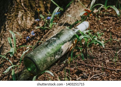 Old Long Time Lost Wine Bottle On Forest Flor, Nature Pollution