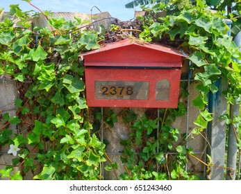 Old Mailbox