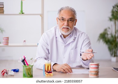 Old Male Dentist Working In The Clinic